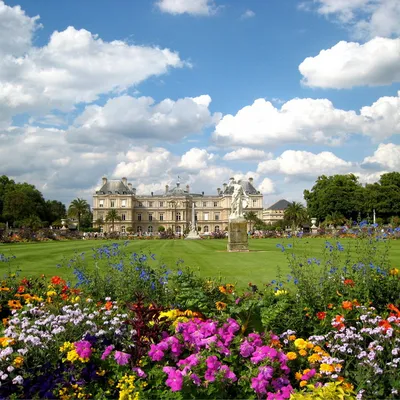 Люксембургский сад - экзотическая обстановка в самом сердце Парижа -  Sortiraparis.com