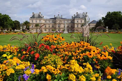 Люксембургский сад, Париж, Франция - «Люксембургский сад – место, созданное  для того, чтобы созерцать красоты и наслаждаться прекрасным! (+фото).» |  отзывы
