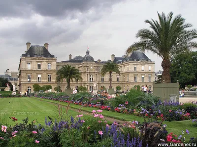 Люксембургский сад в париже фото фотографии