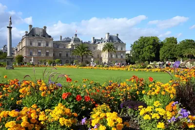 Люксембург Сады В Париже — стоковые фотографии и другие картинки Люксембургский  сад - Люксембургский сад, Париж - Франция, Цветок - iStock