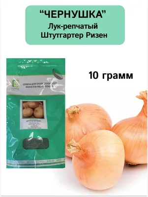 https://www.ozon.ru/product/semena-luk-chernushka-shtutgarter-rizen-10-gr-poisk-897269330/