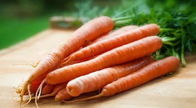 Ответы Mail.ru: лук и морковь на одной грядке? А как поливать? Морковь  прекращают поливать рано, чтобы не была волосатой, а как же лук?