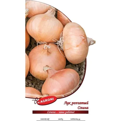 Семена Агрони Лук репчатый ОЛИНА 6029 - выгодная цена, отзывы,  характеристики, фото - купить в Москве и РФ