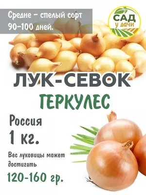 Лук-севок Геркулес 0,5 кг — Ромашка 96