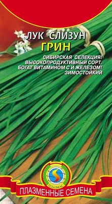 Семена Лук Слизун \"Витаминная поляна\", 0,5 г купить по цене 50 ₽ в  интернет-магазине KazanExpress