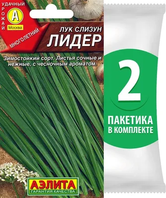 Семена Лук слизун \"Лидер\", 2 упаковки + 2 Подарка — купить в  интернет-магазине по низкой цене на Яндекс Маркете