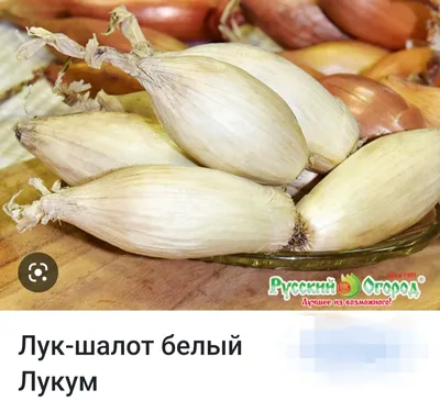 Семена Лук -шалот СОРОКОЗУБКА 025 г. (ID#1068342352), цена: 10 ₴, купить на  Prom.ua