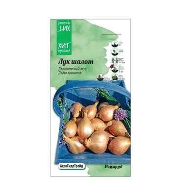 Семена Лук Шалот Запорожский (кущевка) GL Seeds 1г (ID#1316231798), цена:  15 ₴, купить на Prom.ua