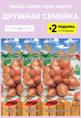 Лук Проверенные семена лук шалот Дружная семейка - купить по выгодным ценам  в интернет-магазине OZON (1176443170)