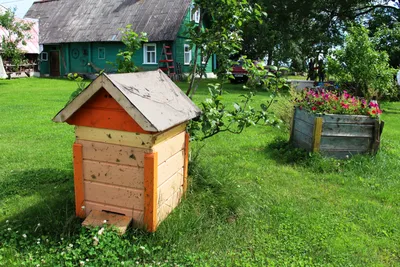 Причудский лук русских староверов первым среди продуктов Эстонии поддержан  госпрограммой качества