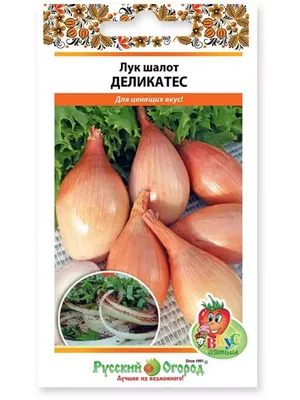 Лук (семейный) – купить в Красноярске, цена 100 руб., продано 5 мая 2019 –  Растения и семена