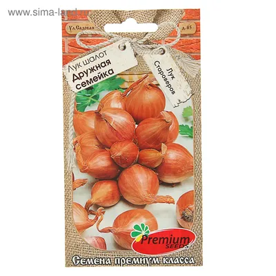 Крупноплодный лук-шалот Старообрядческий (5 маточных луковиц) | Дачная  Коллекция