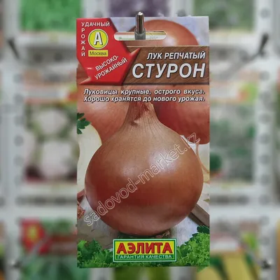 Купить семена Лук репчатый Стурон в Минске и почтой по Беларуси