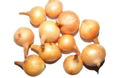 Семена лук репчатый АгроСидсТрейд Стурон T02955-AGS 1 уп. - отзывы  покупателей на Мегамаркет