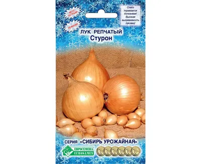 Луковицы Лук, Лук севок купить по выгодной цене в интернет-магазине OZON  (925879310)