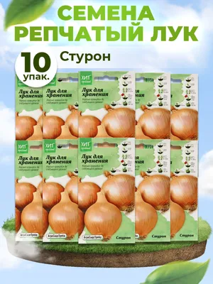 Семена лук репчатый Евросемена Стурон 17487 1 уп. - купить в Москве, цены  на Мегамаркет