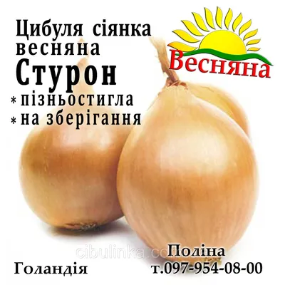 Семена Лук \"Стурон\" репчатый, 1 г — купить в интернет-магазине по низкой  цене на Яндекс Маркете