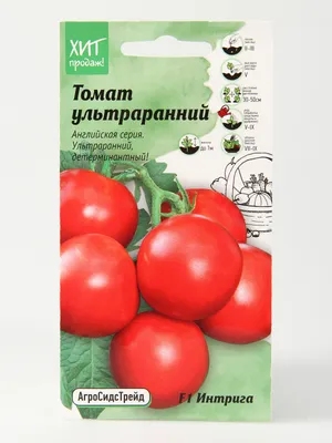 Когда сажать помидоры на рассаду и в грунт в 2023