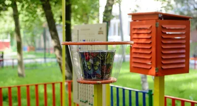 Метеостанция появилась в детском саду «Мир чудес» Ольховатского района