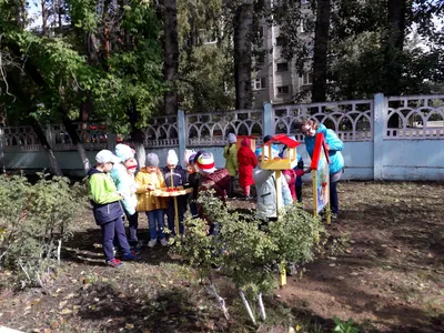 В детском саду «Семицветик» появилась своя метеостанция — Администрация  Павлово-Посадского городского округа