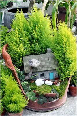 Он лучше любого декора: создайте и вы очаровательный мини-сад в горшке |  สวนขนาดเล็ก, สวนน้อยๆ, การทำสวนในบ้าน