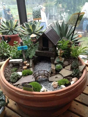 Модный мини-сад на подоконнике | Indoor fairy gardens, Fairy garden  designs, Mini fairy garden