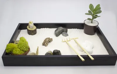 Прекрасная композиция из суккулентов ✔️ Оформление посуды мини сад своими  руками - YouTube