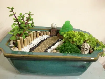 Сады в миниатюре: как сделать мини-сад своими руками и какие они бывают -  DecorWind