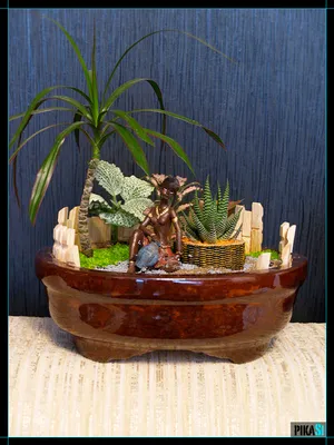 Мини-сад из разных суккулентов в керамическом горшке на подоконнике  красивый смешанный суккулент | Премиум Фото