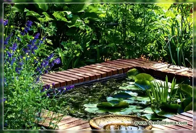 Мини водоем в саду своими руками | Сайт о саде, даче и комнатных растениях.  | Trädgård idéer diy, Trädgårdsdamm, Vattenträdgård