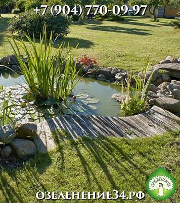 Декоративные водоёмы для сада | Студия Ландшафтный Дизайн РФ