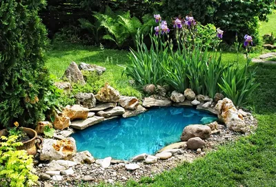 Искусственный мини пруд на даче — Небольшой декоративный маленький пруд на  садовом участке