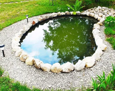 Декоративный пруд в саду (57 фото) - 57 фото