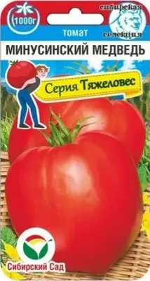 Блогер из Минусинска вырастила помидор тяжелее двух килограммов и получила  «Ладу-Гранту» в Красноярском крае - 22 августа 2021 - НГС24