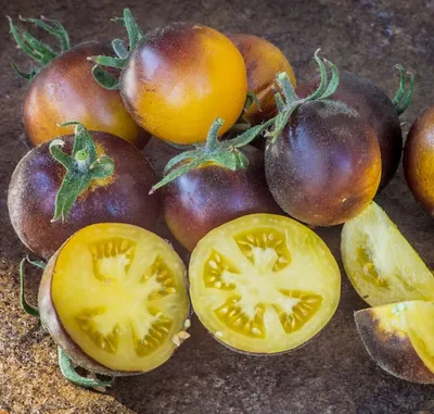 Волосатый помидор Фокус покус, пушистый томат - YouTube