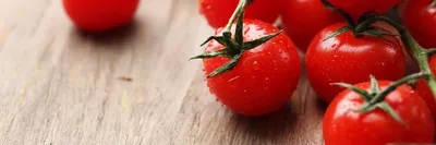 Зеленые помидоры черри зеленого макротипа текстуры помидоры лозах волосатых  растет Стоковое Фото - изображение насчитывающей стержень, личность:  183146070