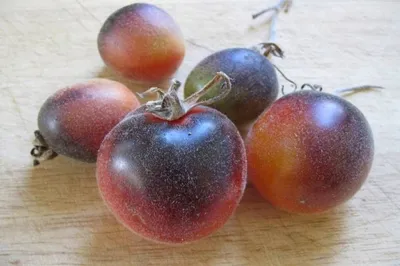 Чем полезны помидоры - вред и польза помидоров | Эксперты объясняют от  Роскачества