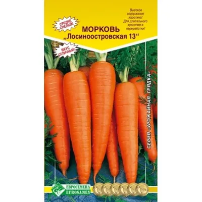 Морковь лосиноостровская 13 фото фото