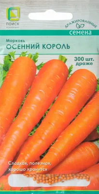 Морковь Осенний король Сеялка ПЛЮС 4г, семена | Купить в интернет магазине  Аэлита