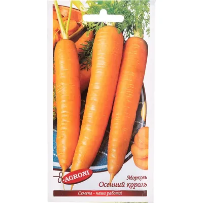 Семена Морковь Осенний король 2г - купить в интернет-магазине Novex