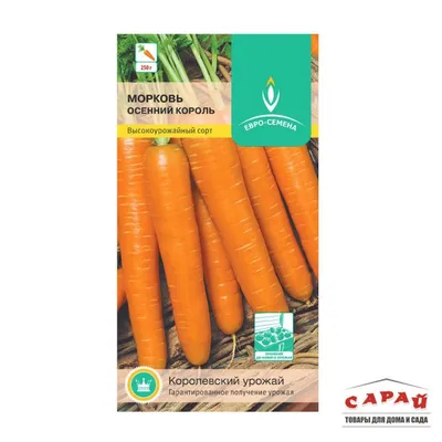 Морковь ЛЕТО LER17585105 - купить по выгодным ценам в интернет-магазине  OZON (595118547)