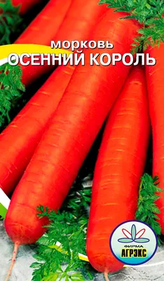 Семена Агрони Морковь ОСЕННИЙ КОРОЛЬ 6166 - выгодная цена, отзывы,  характеристики, фото - купить в Москве и РФ