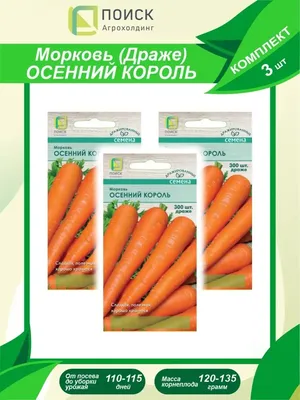 Сад и огород :: Семена :: Овощи :: Корнеплоды :: АЭЛИТА Морковь (драже) Осенний  король среднепоздняя