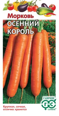 Морковь осенний король фото фотографии