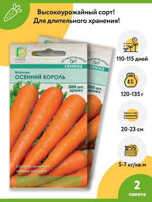 Морковь Осенний король 2г купить в Екатеринбурге в интернет-магазине ДОМ