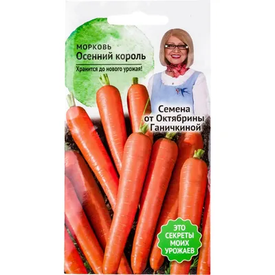ПОИСК Семена Морковь Осенний король драже 300 шт.