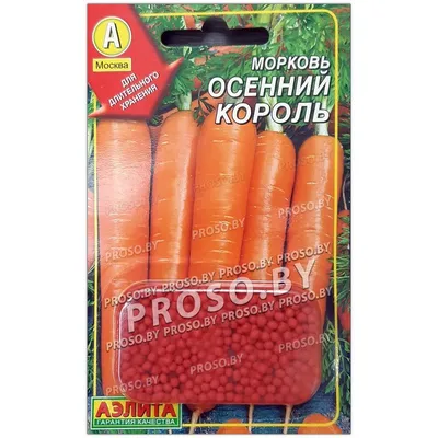 Семена Морковь Осенний король: описание сорта, фото - купить с доставкой  или почтой России