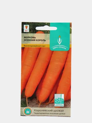 Семена моркови, ПОИСК, Осенний король 300 шт — купить в Майкопе по цене 35  руб за шт на СтройПортал