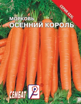 Семена морковь Поиск Осенний король 96521 3 уп. - купить в Москве, цены на  Мегамаркет