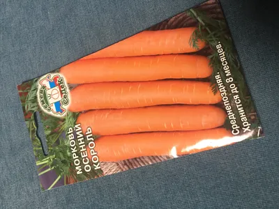 Купить семена Морковь Осенний король, гранулы в Минске и почтой по Беларуси